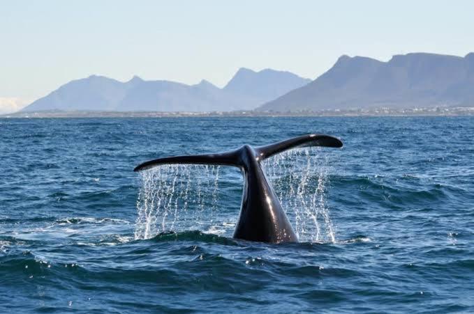 Central Mountain View Apartment, Hermanus Waterfront Luaran gambar